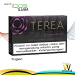 Terea Yugen Dimension