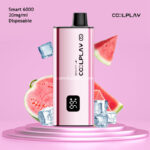 Watermelon-Ice-Cool-Play-Smart-6000-Puffs-20mg-Disposable