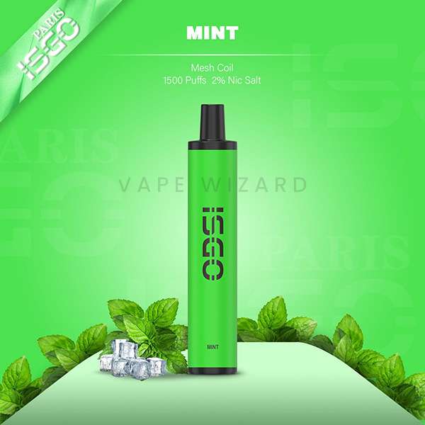 MINT 6