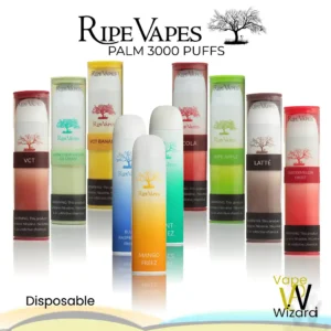 RIPE VAPES PALM 3000 PUFFS