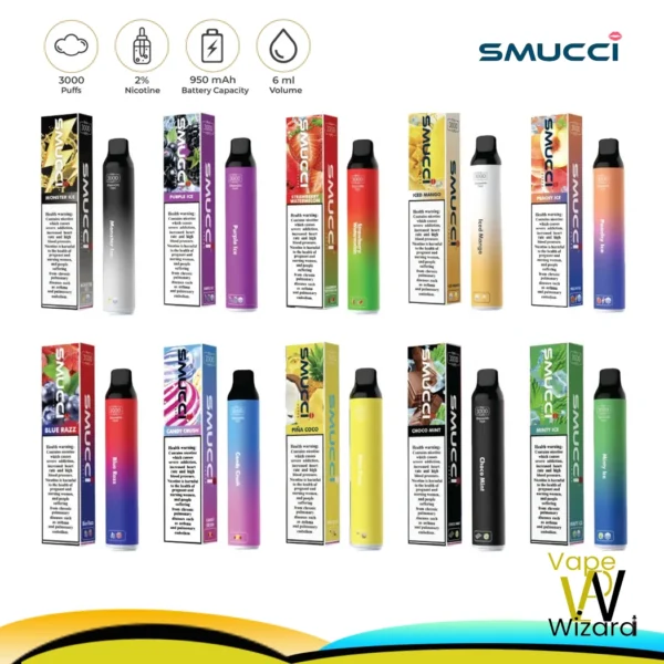 SMUCCI 20MG 3000 PUFFS DISPOSABLE