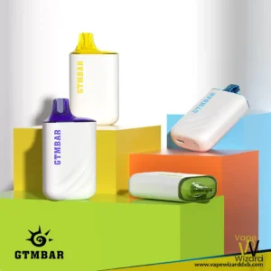 gtmbar porter 5000 disposable 3