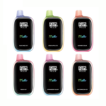 20000 Puffs Disposable Vapes